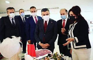 Hayat boyu öğrenme haftası ilk kez kutlandı