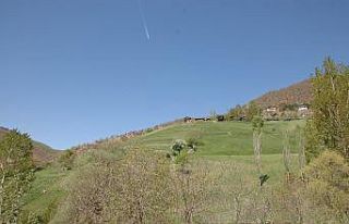 Hayvan otlatma meselesinden komşular birbirine girdi:...