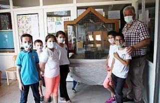 Hayvanat bahçesi gibi okul