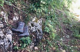 Hayvanlarını otlatırken yüksekten düşen yaşlı...