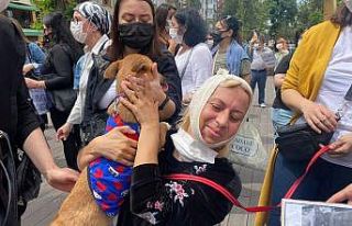 Hayvanseverler tepki göstermek için bir araya geldi