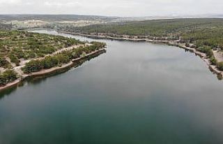 Haziran yağmurları Musaözü Göleti’ni canlandırdı