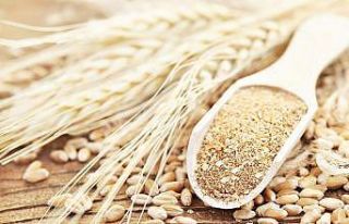 HEKTAŞ, tescilli siyez buğdayı üretecek