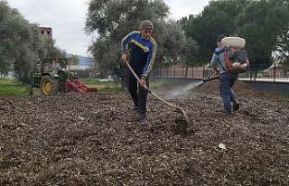 Herkes çöp diye yakıyordu, çok değerli bir gübre...