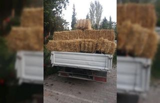 Hırsızlar şimdide çiftçinin samanına göz dikti