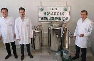 Hisarcık’ta adaçayı yağı deneme üretimi