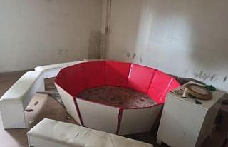 Horoz dövüştürenlere baskın