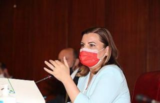 Hürriyet, “Deniz salyaları için acil bir araya...