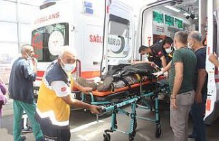 İki otomobil kafa kafaya çarpıştı: 3 yaralı