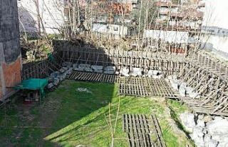 İkinci Efes’te kazıların yeniden başlatılmasına...
