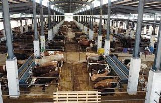 İnegöl’ün tarım yatırımlarına tam not