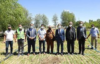 İpekyolu Belediyesinden çiftçilere büyük destek