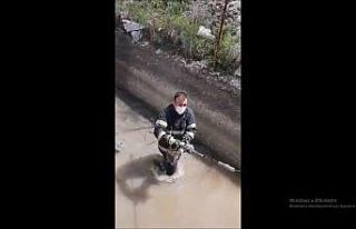 Irmakta boğulmak üzere olan yavru köpeği itfaiye...