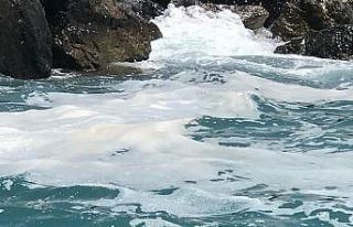 İskenderun kıyılarında beyaz tabaka endişelendirdi