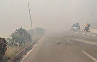 İslahiye’de anız yangını trafiği durdurdu