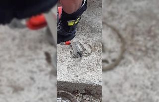 Isparta’da yılan operasyonu