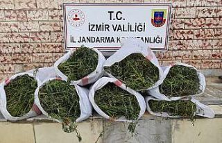İzmir’de 5 ilçede uyuşturucu operasyonları:...