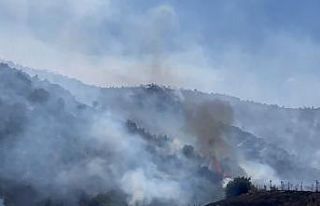 İzmir’de makilik alandaki yangına havadan ve karadan...