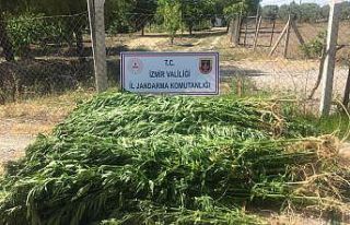 İzmir’de uyuşturucu operasyonu: 7 gözaltı