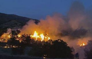 İzmir’de zeytinlik alanda çıkan yangın söndürüldü