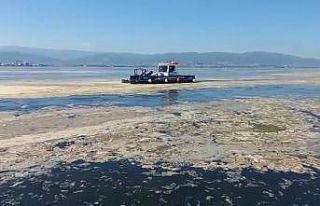 İzmit Körfezi’nde deniz salyası ile mücadele...