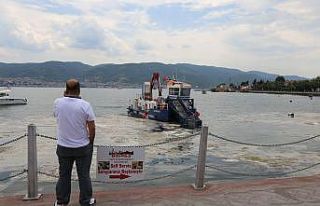 İzmit Körfezi’nde deniz salyası seferberliği