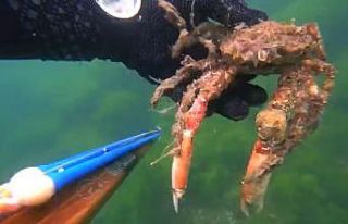 İzmit Körfezi’nin dibinde ürperten görüntüler