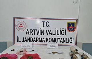 Jandarma Artvin’de kubar esrar yakaladı