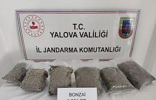 Jandarma narkotik köpeği uyuşturucuyu böyle buldu