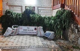 Jandarma’dan 9 ilçede uyuşturucu operasyonu: 11...