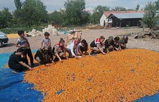 Jandarma’dan bahçede çalışan kadınlara eğitim