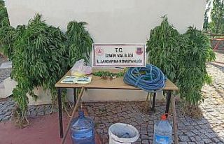Jandarmadan zehir tacirlerine darbe: 16 gözaltı