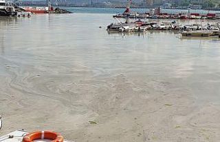 Kabus hızla yayılıyor: Sahilin tamamını kapladı