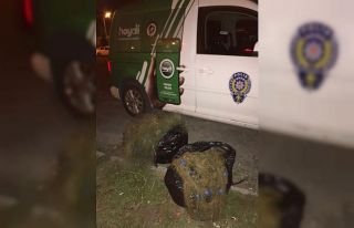 Kaçak avlanan balıklar nehre bırakıldı