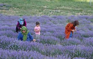 Kadınlar birlik oldu, şimdi o köy kırsal turizmin...