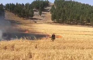 Kahramanmaraş’ta buğday tarlası yandı