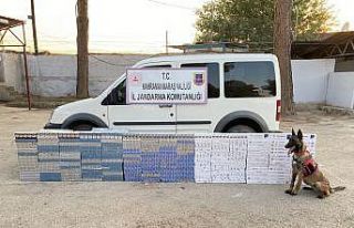 Kahramanmaraş’ta kaçak sigara operasyonu