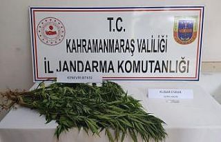 Kahramanmaraş’ta uyuşturucuya 2 gözaltı