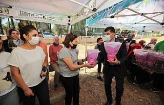 Kamu çalışanları doğada spor etkinliklerinde...