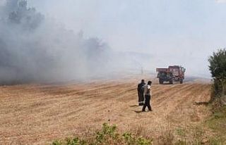Kanepe hurdasını almak içi ormanı yakıyordu,...