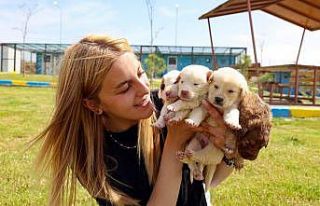 KAPEM’de hayvanseverler için “Yerel Hayvan Koruma...
