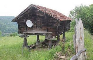 Karadeniz’in mühendislik harikası: Serender