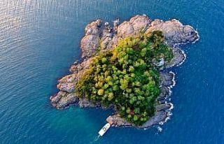 Karadeniz’in yaşanılabilir tek adası ziyaretçilerini...