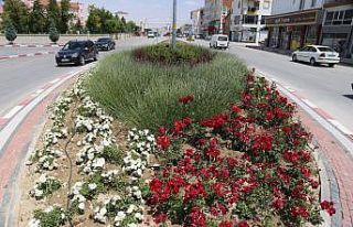 Karaman’da kavşak ve refüjler gül ve çiçeklerle...