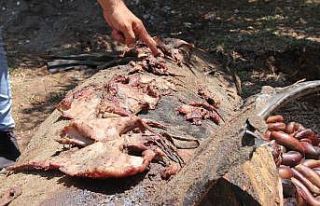 Karaya vuran yunusun midesinden çıkanlar şaşırttı