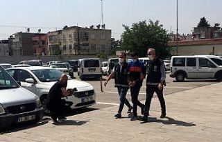 Kardeş katili soğan tarlasında yakalandı