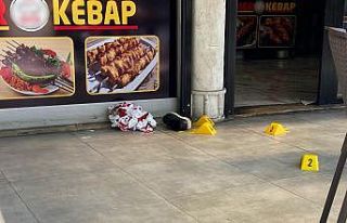 Kardeşini döven kişiye kurşun yağdırdı