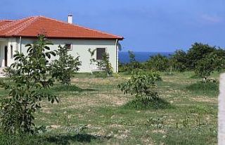 Kardeşini öldüren ağabeye müebbet hapis