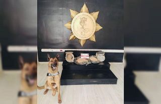 Kargo aracında 10 kilo eroin ele geçirildi