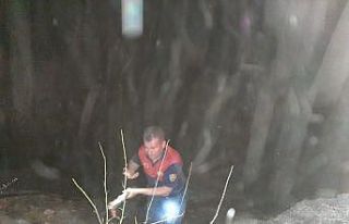 Karpuzlu’da çalılık yangını